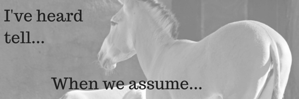assumptions, assuming, assume